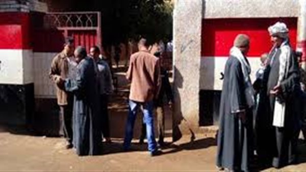 خبير حقوقي: الخلايا الإلكترونية تروج أكاذيب حول انتخابات الشيوخ | فيديو