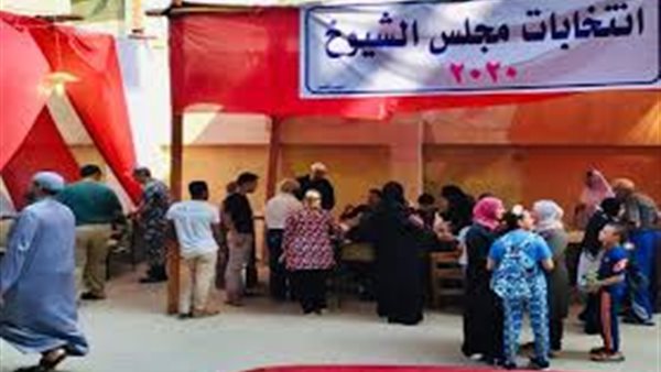 مصطفى بكري عن انتخابات مجلس الشيوخ: مظهر حضاري ومشرف | فيديو