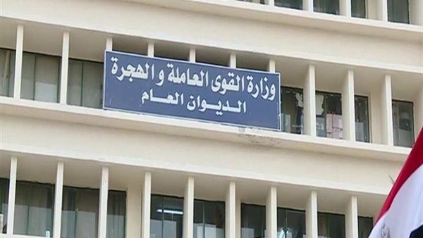 القوى العاملة تعلن عن وظائف في جميع التخصصات براتب 7 آلاف جنيه | فيديو