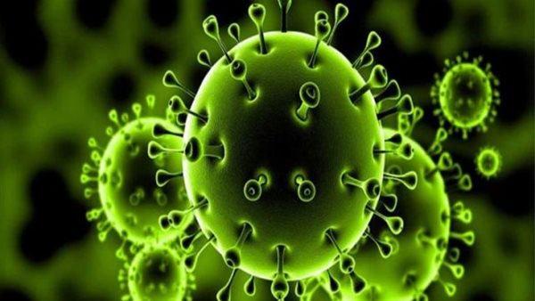 استاذ بجامعة نيويورك: 60% من مصابي كورونا لا يشعرون بأي أعراض | فيديو