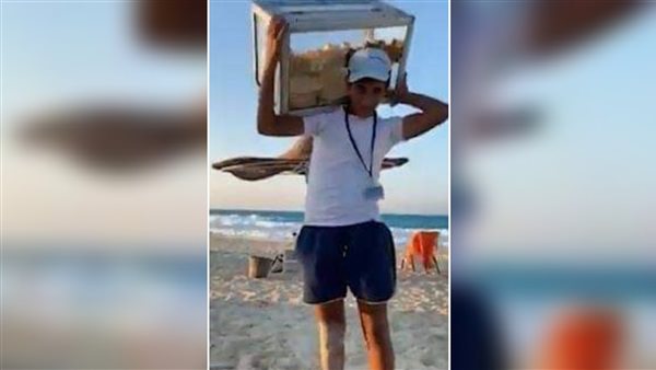 الحكومة: تقديم منحة مجانية بكلية الطب لـ 