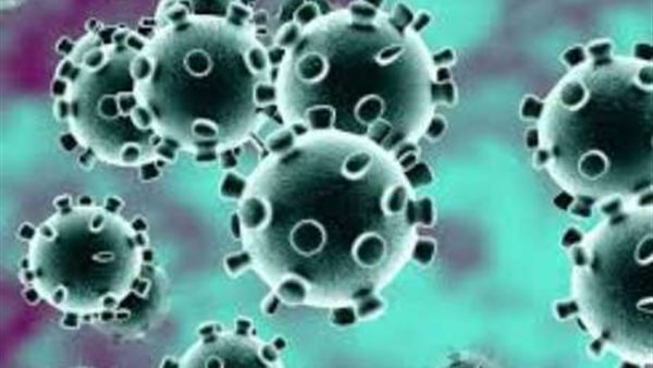 صدمة..هذا الأمر سوف يحدث فى شهر 11 و1 المقبل بشأن فيروس كورونا