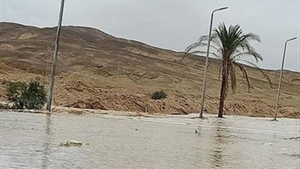 الري تكشف حقيقة تعرض مصر لضرر نتيجة السيول | فيديو