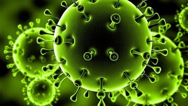 جيهان العسال تكشف تفاصيل جديدة عن مواجهة كورونا | فيديو