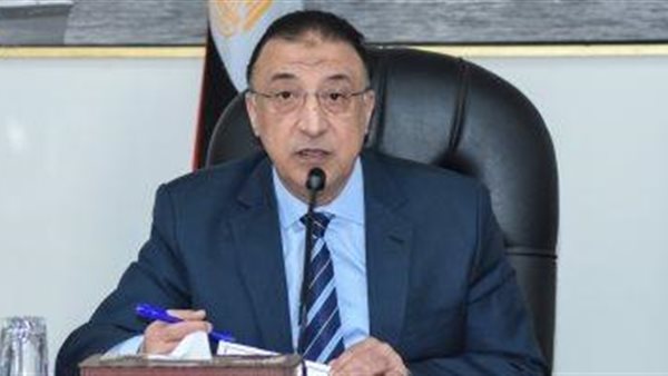 محافظ الإسكندرية: «حوت كبير» بنى 23 برجًا مخالفًا تجاوزت قيمتها مليار جنيه | فيديو