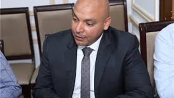 نائب بالشيوخ يكشف سر اختيار قوى الشر 20 سبتمبر للدعوة إلى المظاهرات | فيديو