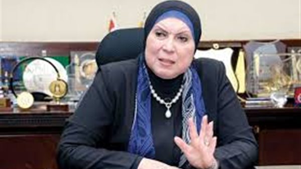 وزيرة التجارة: إيجارات الوحدات الصناعية بالمجمعات الجديدة تبدأ من 20 جنيها للمتر | فيديو