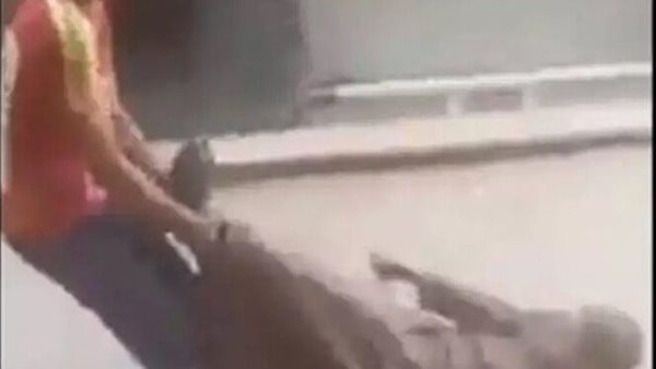 من آمن العقوبة أساء الأدب.. شاب يسحل رجل مسن في شارع عام في مصر | فيديو