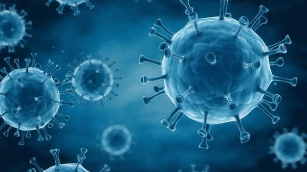 كارثة.. الصحة العالمية تحذر من إجراء خطير لكسب المناعة