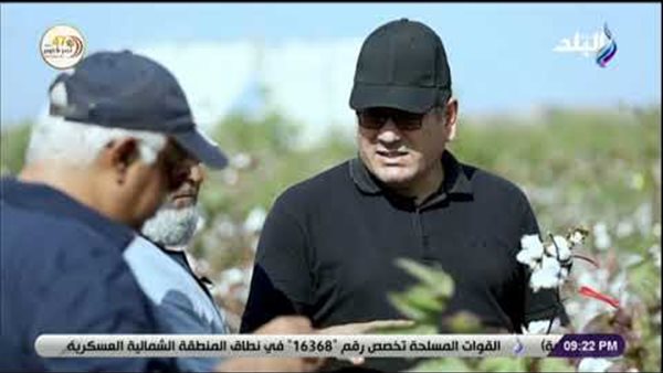 البحوث الزراعية: القطن المصري دخل موسوعة جينيس للأرقام القياسية | فيديو