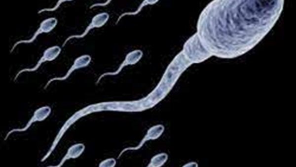 استشاري أمراض الذكورة: نسبة التشوهات في الحيوانات المنوية مقبولة حتى 50% | فيديو