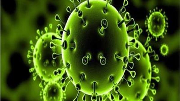 لجنة مكافحة كورونا تقدم 5 نصائح هامة للمواطنين لتجنب الموجة الثانية | فيديو