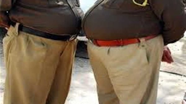 خبيرة تغذية: شكل الحياة ساهم في ارتفاع السمنة | فيديو