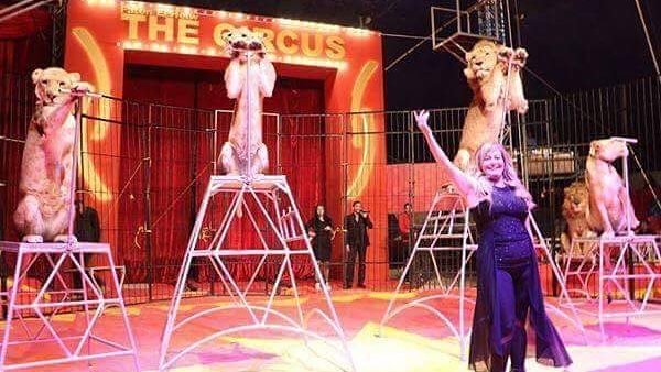 مات مكتئبا بسبب أزمة كورونا .. فاتن الحلو تنعى الاسد علاء | فيديو