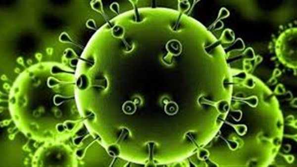 رئيس اللجنة العلمية لمواجهة كورونا يوجه تحذيرا خطيرا : زيادة مرتقبة للإصابات في هذا التوقيت | فيديو