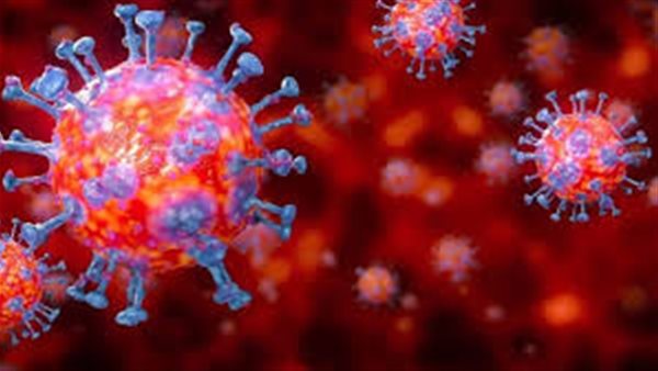 أستاذ علم الأحياء في الأكاديمية الروسية يكشف عن موعد نهاية فيروس كورونا | فيديو