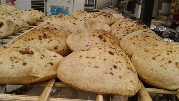 مفاجأة .. التموين تدرس تحويل دعم الخبز من عيني إلى نقدي 