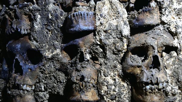 عمرها قرون بعيدة.. اكتشاف برج مرعب من الجماجم | صور