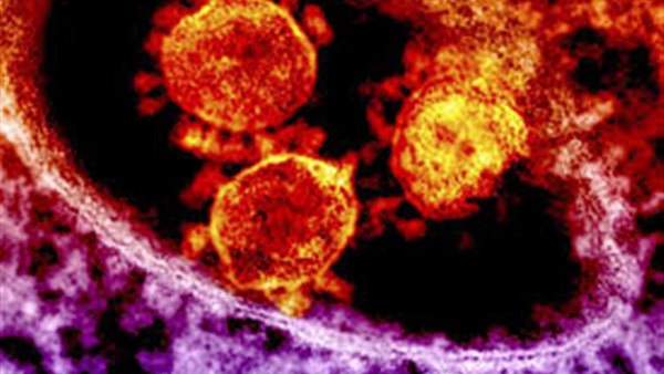 أكثر انتشارا ويصيب الصغار.. كيف تحور فيروس كورونا ؟ | فيديو