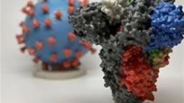 معلومات خطيرة عن سلالة كورونا الجديدة ومدي فاعلية اللقاح ضدها