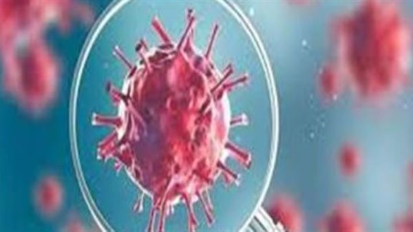 اللجنة العليا للفيروسات تكشف حقيقة وصول سلالة كورونا الجديدة لمصر | فيديو