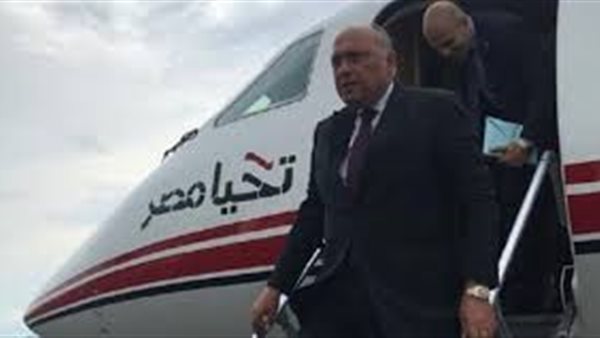 تفاصيل جديدة.. وزير الخارجية يكشف موقف مصر من التصالح مع قطر | فيديو