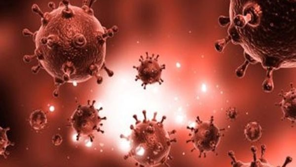 الصين تفجر مفاجأة جديدة حول السلالة الجديدة لفيروس كورونا