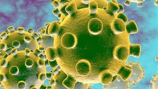 طبيب شهير يفجر مفاجأة عن الأمل الوحيد لخفض أعداد كورونا في مصر | فيديو