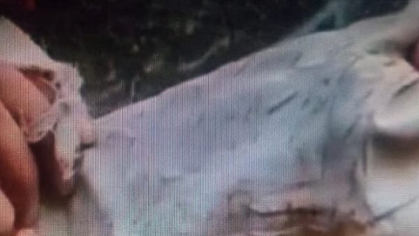 ياريتني ما فتحتها..تربي يعثر على رسالة مجهولة داخل جمجمة قط ببني سويف