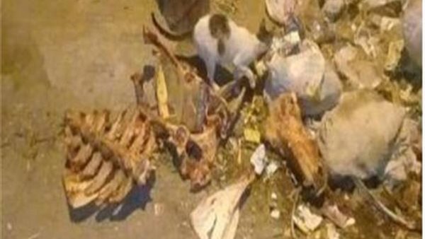 كاميرات مراقبة كشفت السر.. عظام آدمية في مقلب قمامة تثير الرعب في بولاق الدكرور