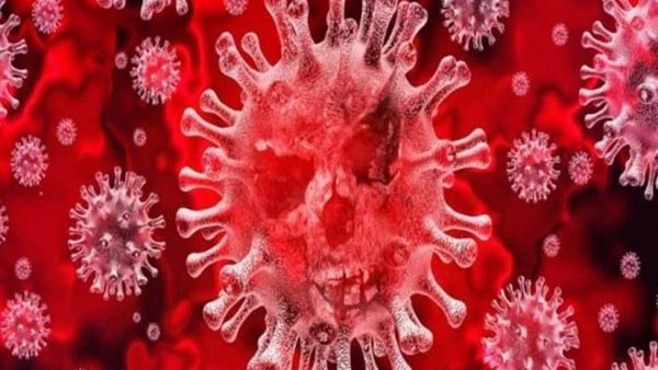 تفاصيل صادمة..اكتشاف سلالة جديدة من فيروس كورونا المرعب 