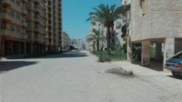 من الكشك للفيلا..رقم قومي لكل وحدة عقارية في مصر | فيديو