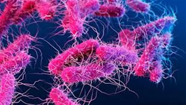 هذه الفئة هي الأكثر تعرضا ونقلا لفيروس كورونا.. طبيب شهير يفجر مفاجآت جديدة | فيديو