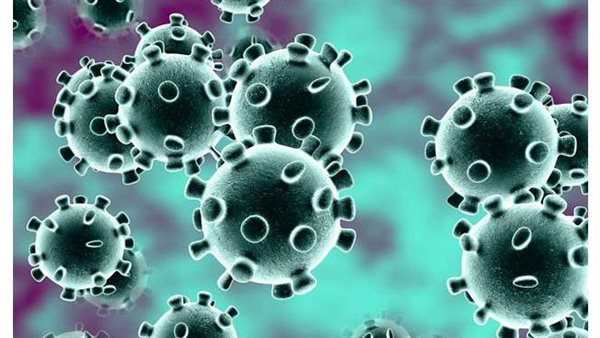  فيروس نيباه.. جائحة جديدة عابرة للقارات أشد فتكا من كورونا 