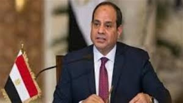 سنحتفل بكل مرحلة.. السيسي يعلن خبرا سارا للمصريين | فيديو