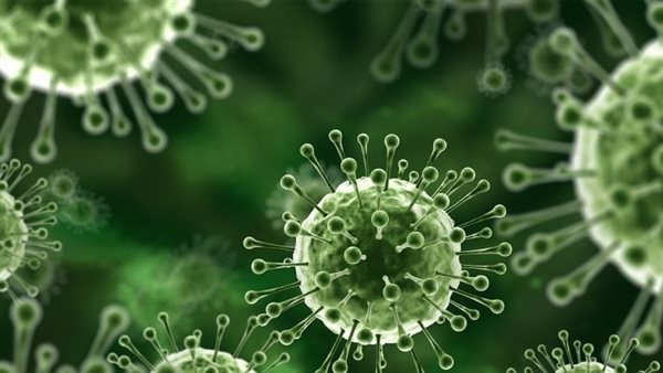 هذه طرق الوقاية منه .. معلومات صادمة عن فيروس نيباه القاتل