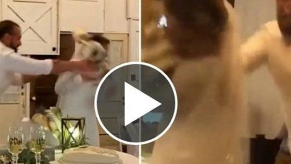 غشيم.. عريس يضرب عروسه بالتورتة في وجهها ليلة الزفاف وهذا ما حدث