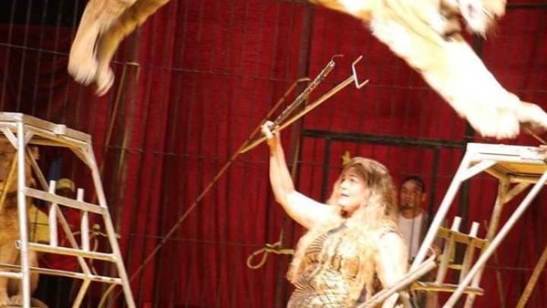 سيرك فاتن الحلو يستقبل جمهوره الخميس والجمعة بطاقة ٢٥٪ 