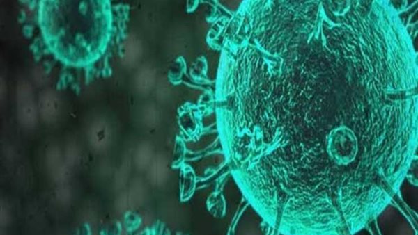 مفاجأة كبرى ..الكشف عن السبب وراء إصابة العالم بكورونا | فيديو