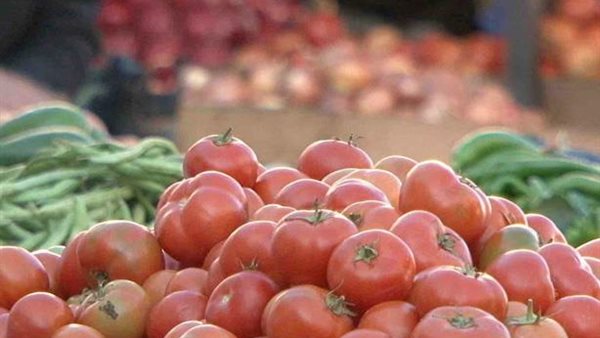 غش الطماطم..الفلاحين توجه نصائح عاجلة للمواطنين عند الشراء