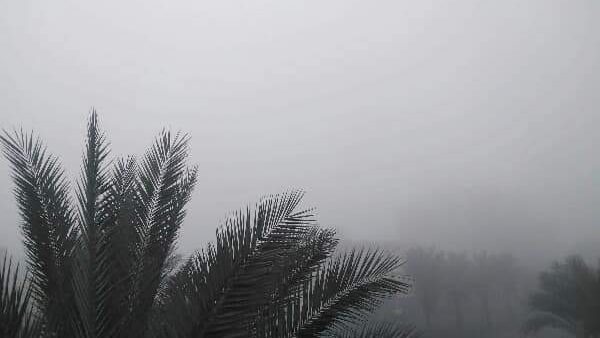 تحذير عاجل من الأرصاد..تفاصيل تعرض مصر لعاصفة ثلجية الأسبوع الحالي