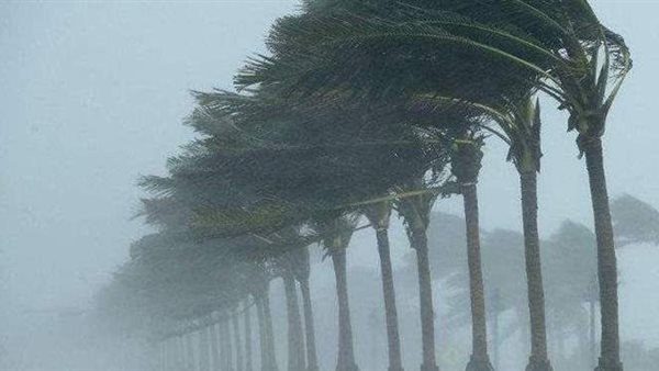 عاصفة القرش تقترب.. تحذيرات عاجلة من التنمية المحلية للمواطنين