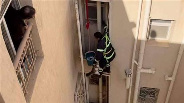 عالقة في عقار منذ أسبوع..الحماية المدنية تنقذ قطة | صور