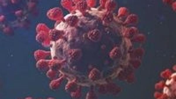 خبير مناعة يكشف مفاجأة.. تفاصيل جديدة عن مضاعفات فيروس كورونا لدى الأطفال