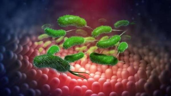 تصل للسرطان..جرثومة المعدة خطر يهدد ثلثي سكان العالم