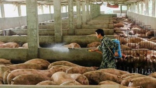 لن تصدق.. الصين تعلن تفشي وباء جديد أخطر وأشد فتكًا من كورونا