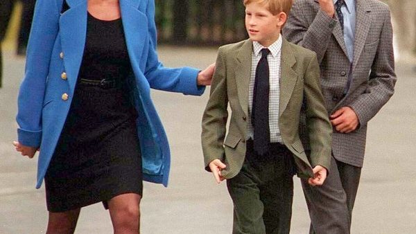 الأمير هاري يصرف منها حتى الآن..ما حجم ثروة الأميرة ديانا لأبنائها؟