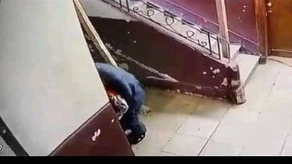 تفاصيل 5 دقائق هزّت مصر..4 فيديوهات جديدة توثق جريمة متحرش المعادي | شاهد