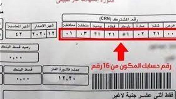 هذا الموعد الأخير .. تحذير هام من البترول بشأن فواتير غاز شهر مارس