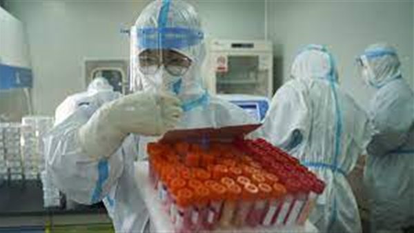 تفاصيل صادمة ..اكتشاف 24 نوعا من كورونا الخفافيش فى الصين